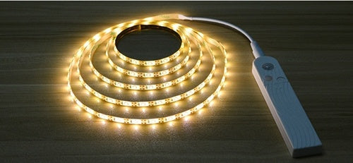 Home Lights