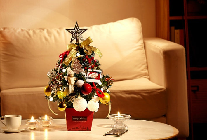 Bring Home Cheer with This Lighted Mini Christmas Tree